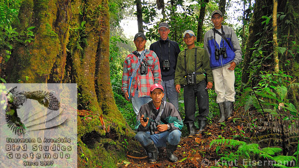 Desarrollo de capacidad por Eisermann and Avendaño Bird Studies Guatemala