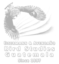 Eisermann and Avendaño Bird Studies Guatemala